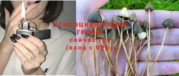 экстази Нязепетровск