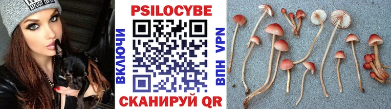Псилоцибиновые грибы MAGIC MUSHROOMS  кракен онион  Ртищево  цены  